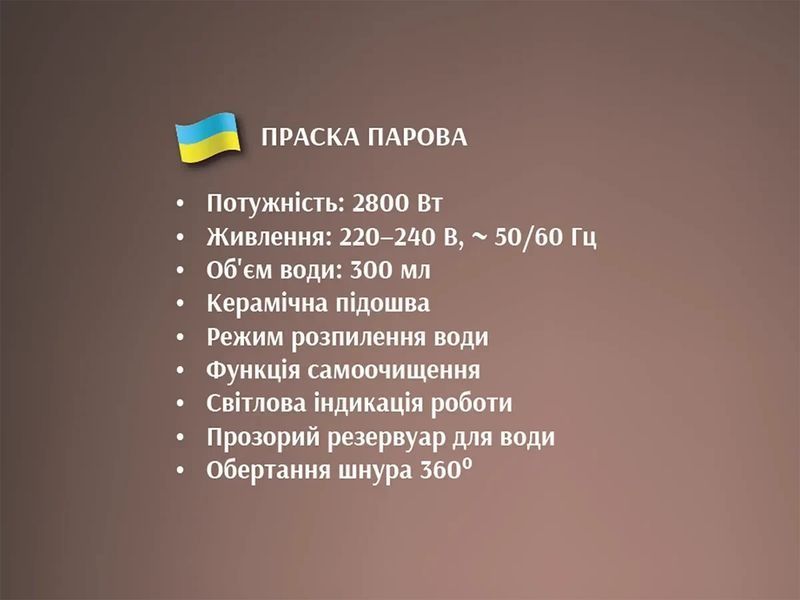 Утюг паровой с керамической подошвой 2800Вт BITEK BT-1256G 2507923819 фото