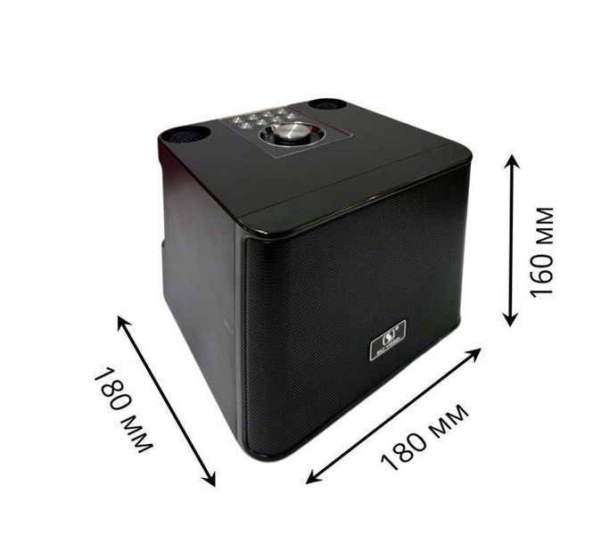 Минидинамик Bluetooth LED 2MIC YS-309 2468140334 фото